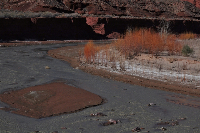 Paria Canyon Trail